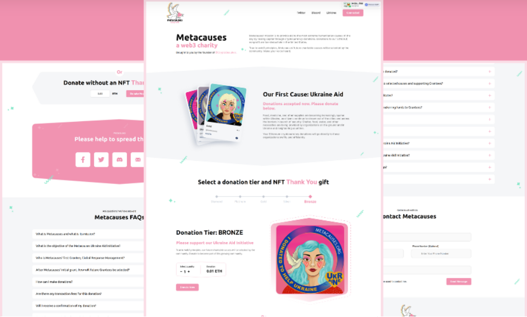 WordPress portfolio project 14